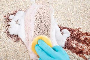 روش-پاک کردن لکه قهوه از روی فرش