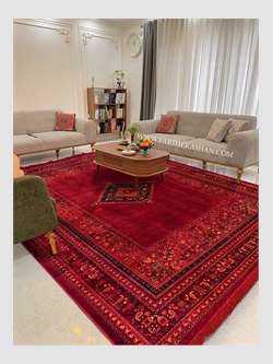 طرح روشا روناسی